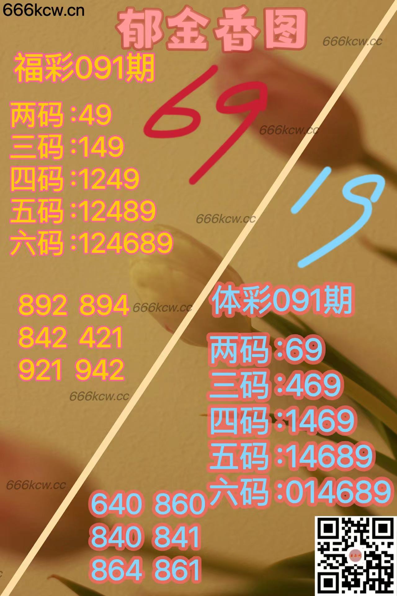20250411 (30)