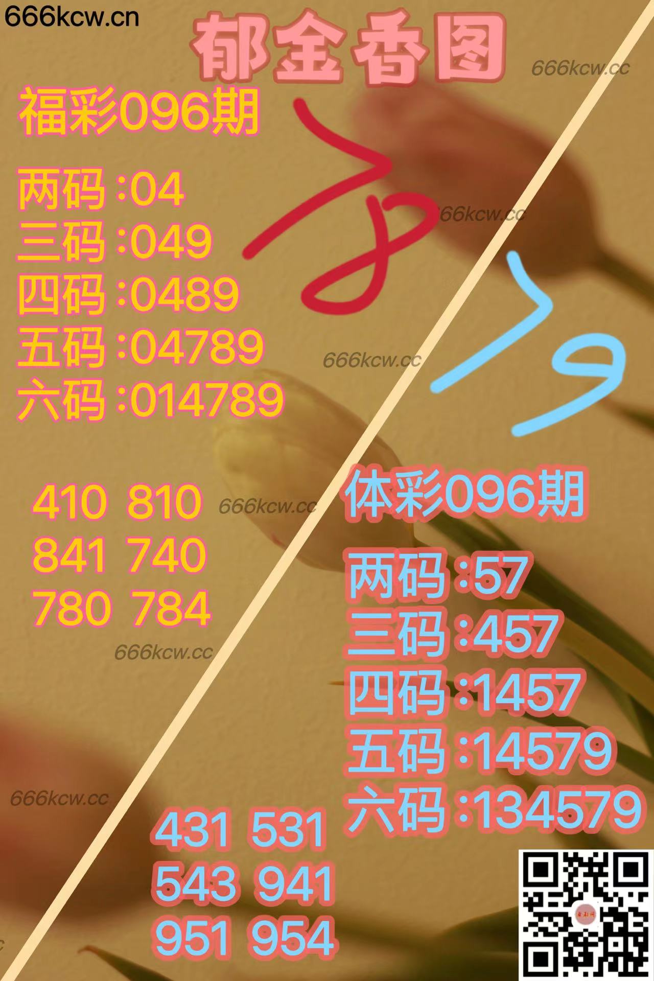 20250416 (4)