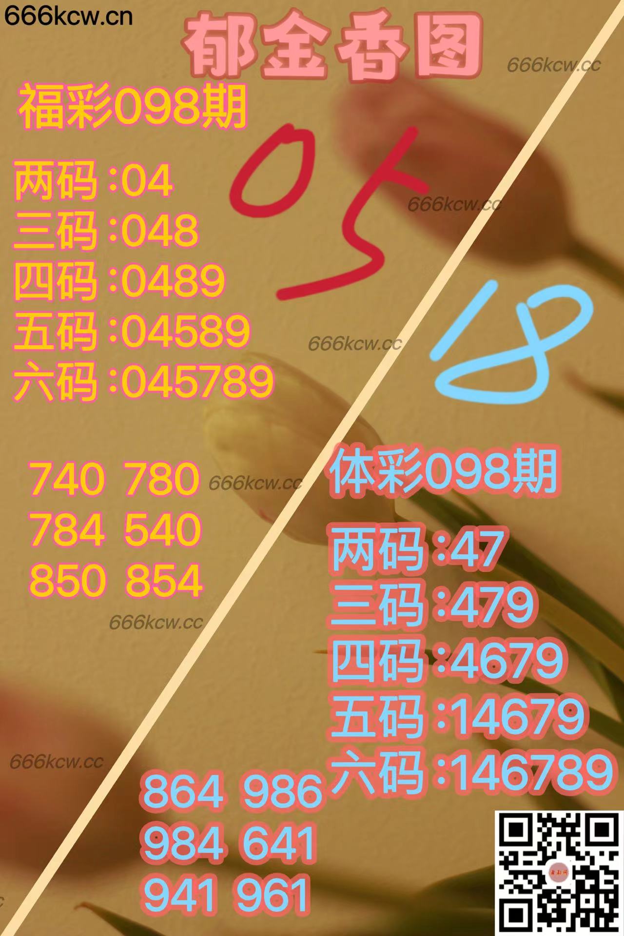 20250418 (27)