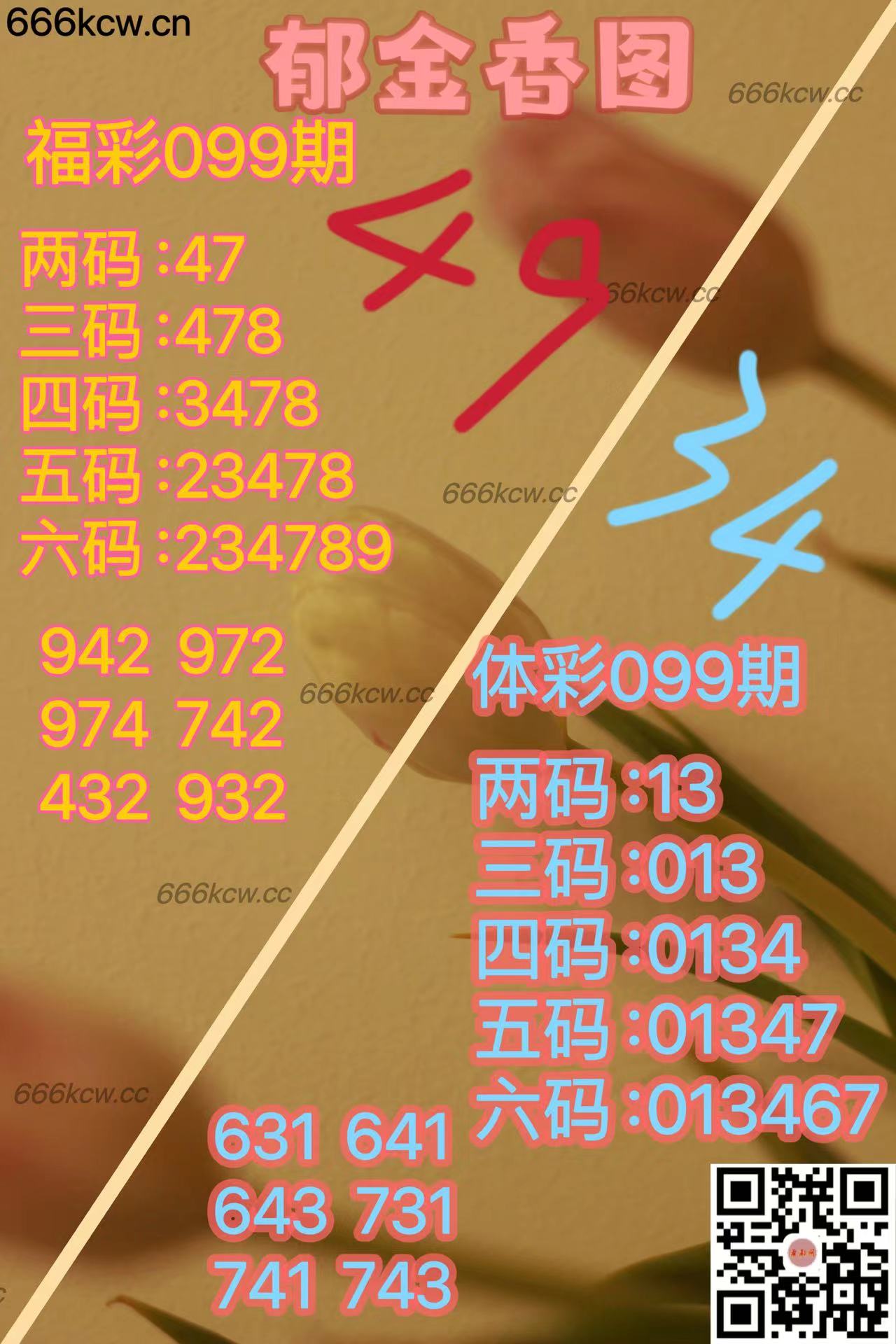20250419 (11)