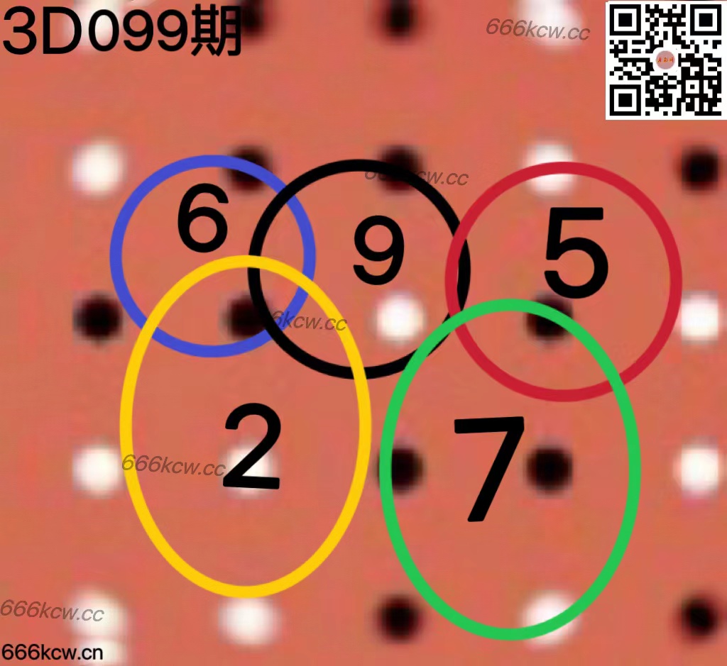 20250419 (32)