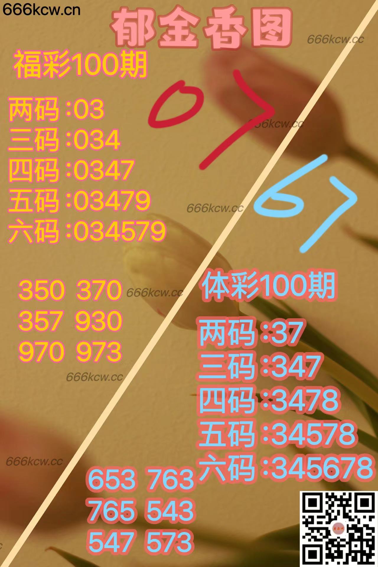 20250420 (35)