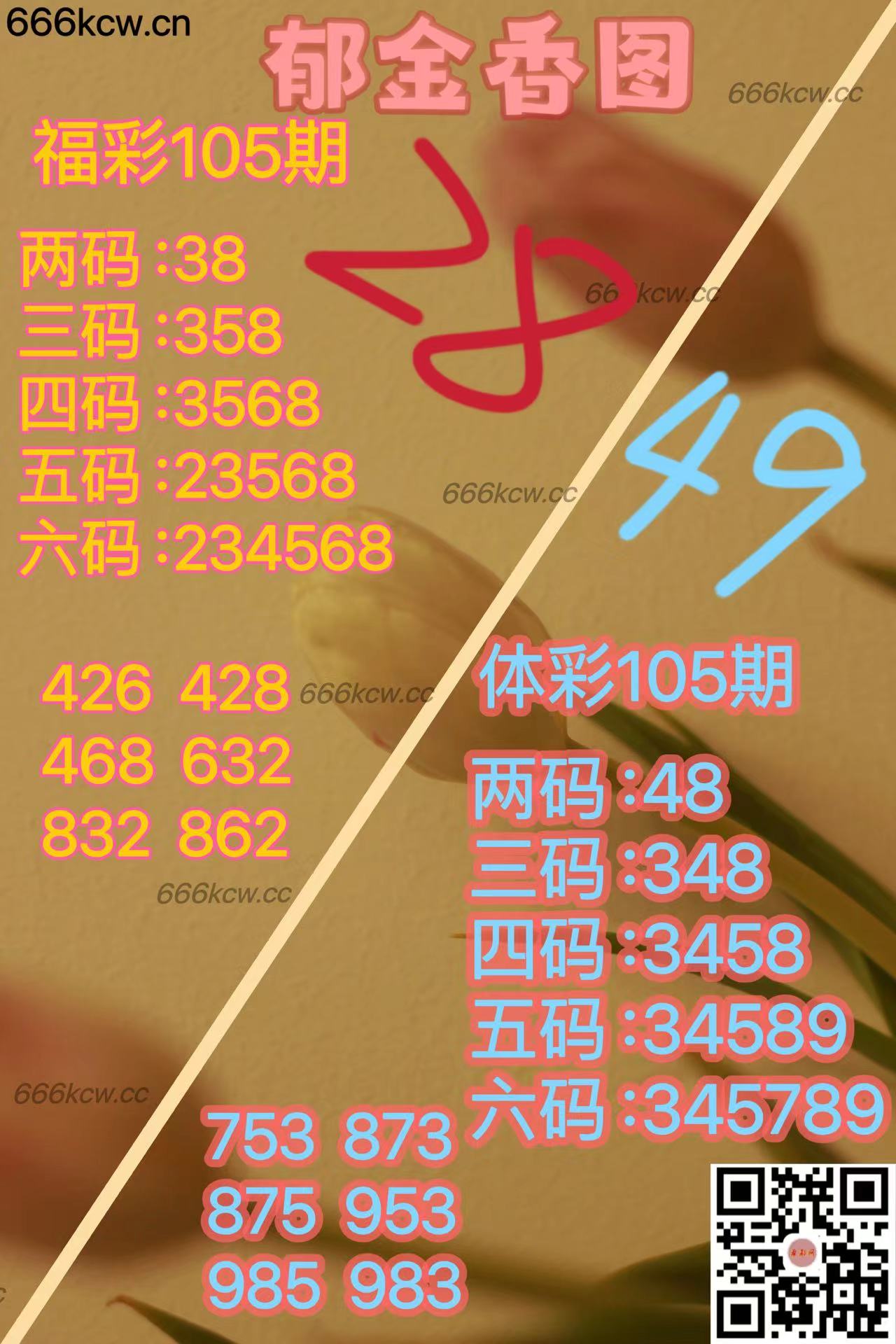 20250425 (6)