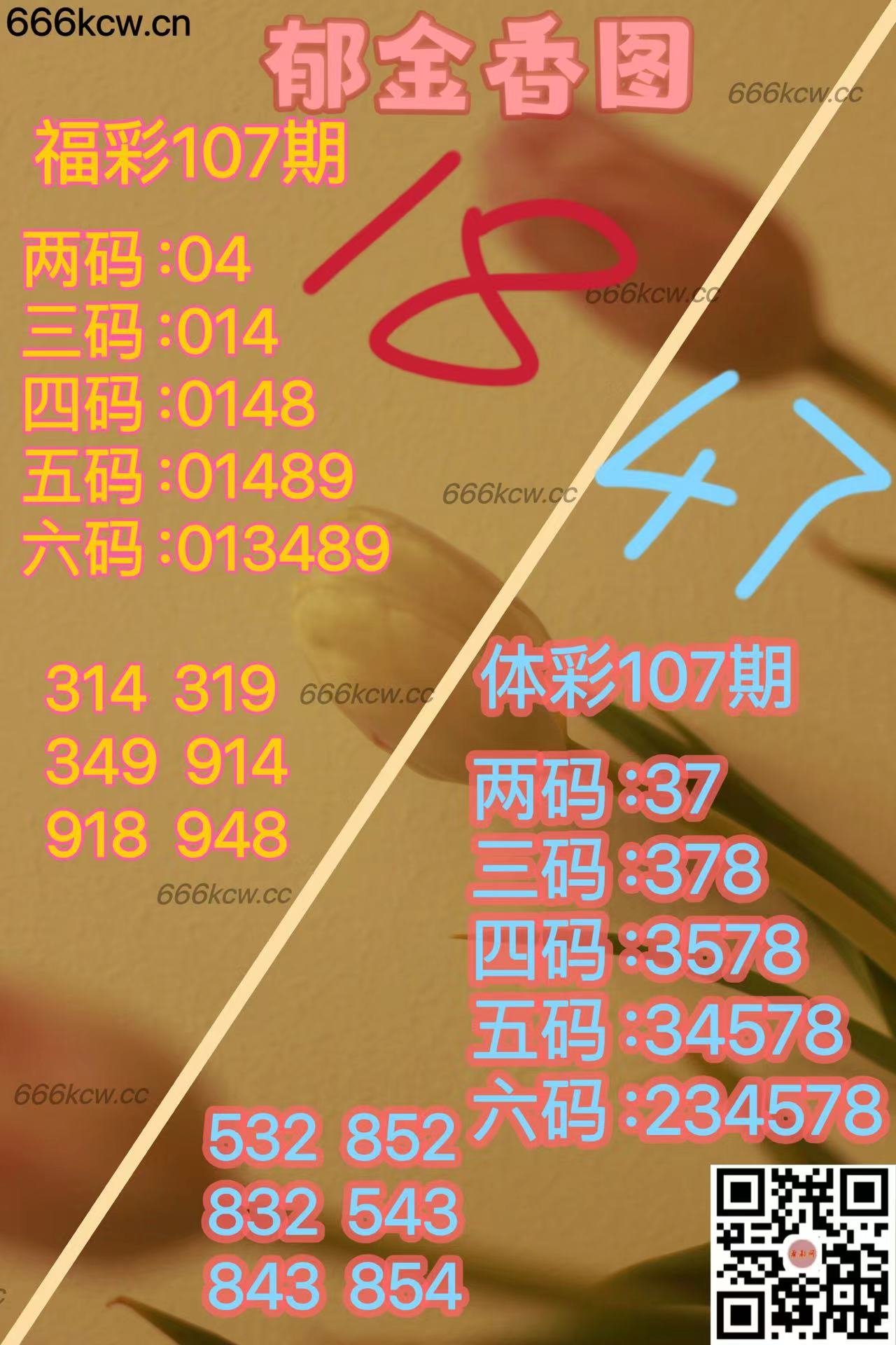 20250427 (24)
