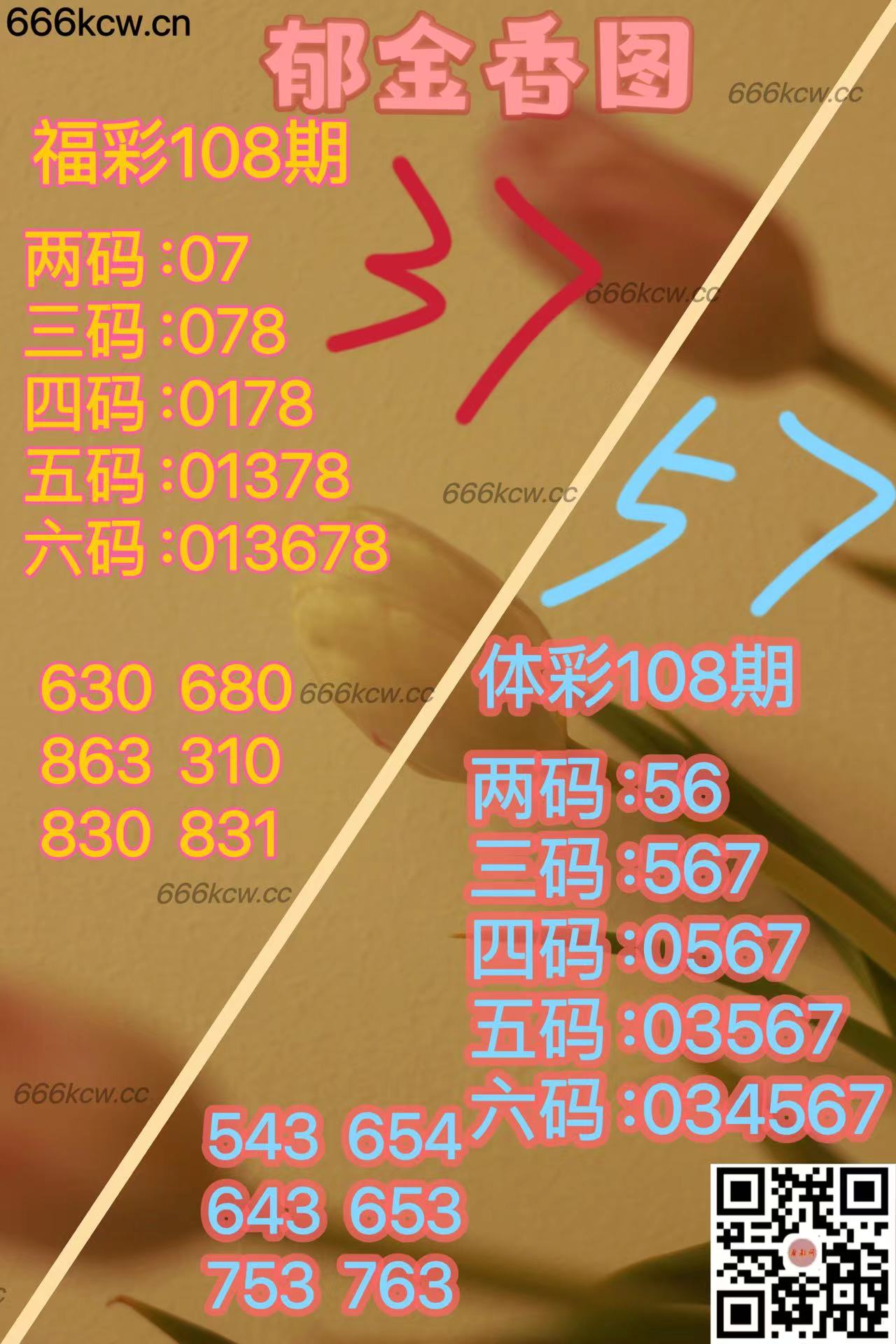 20250428 (26)