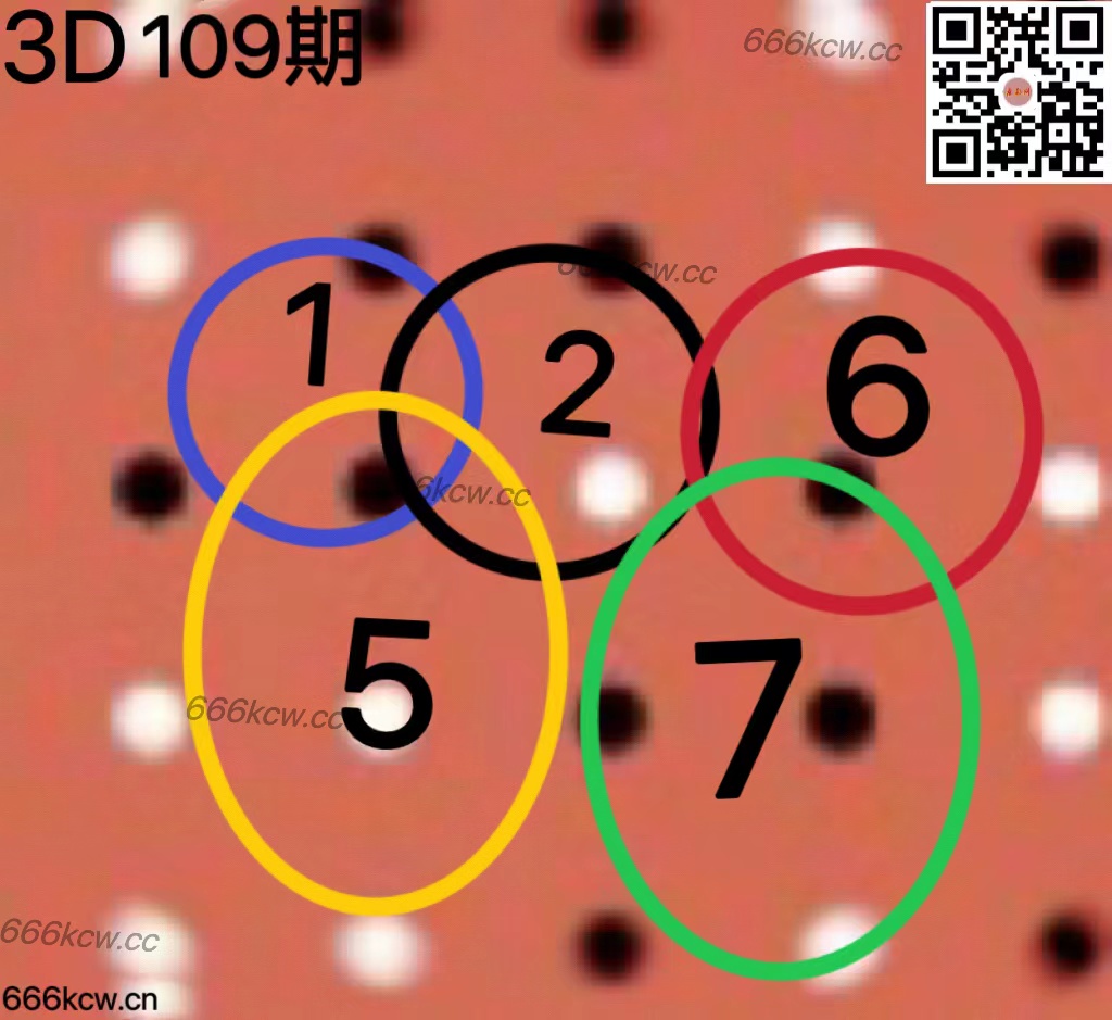 20250429 (4)