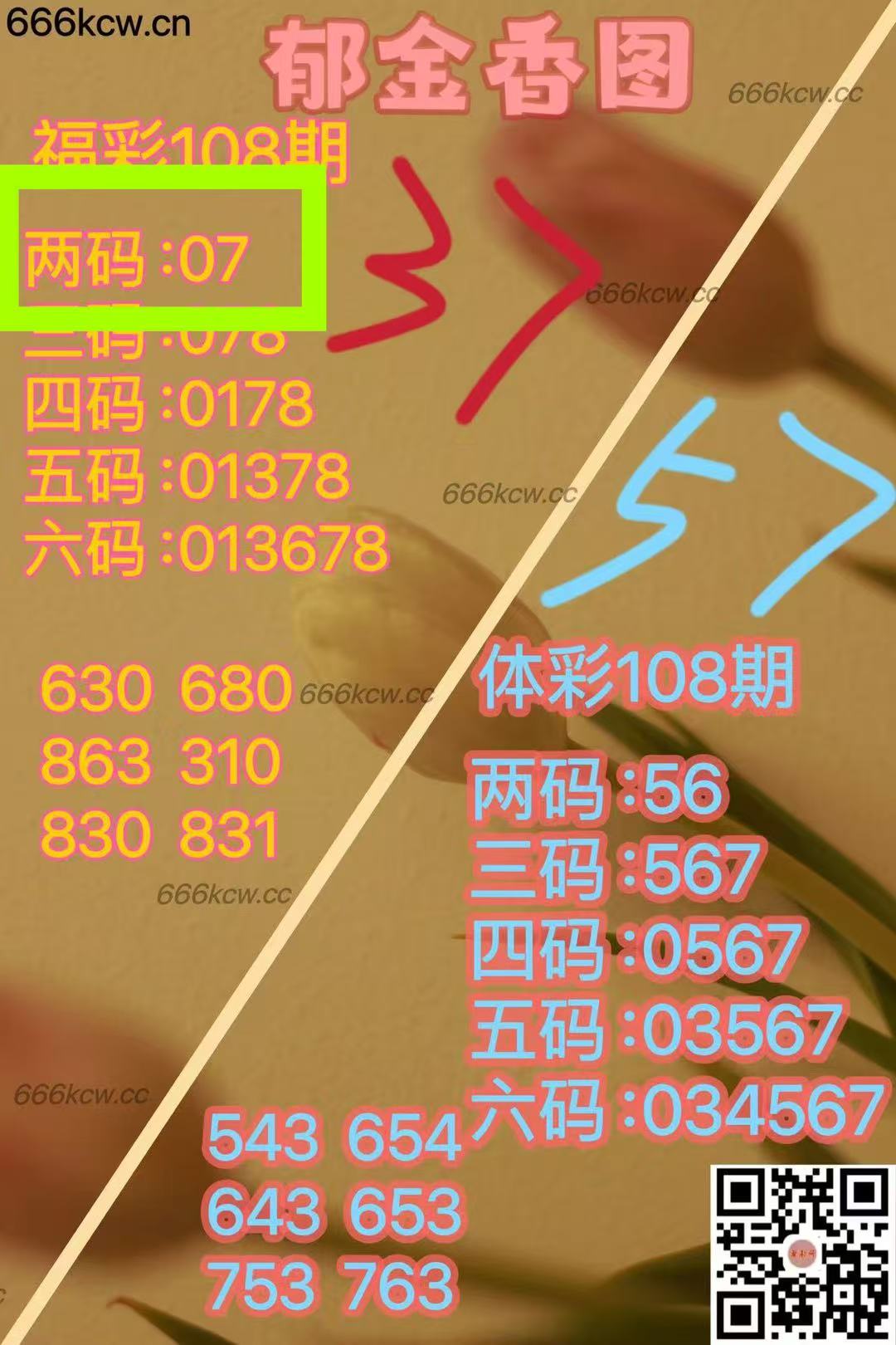 微信图片_202504290048093
