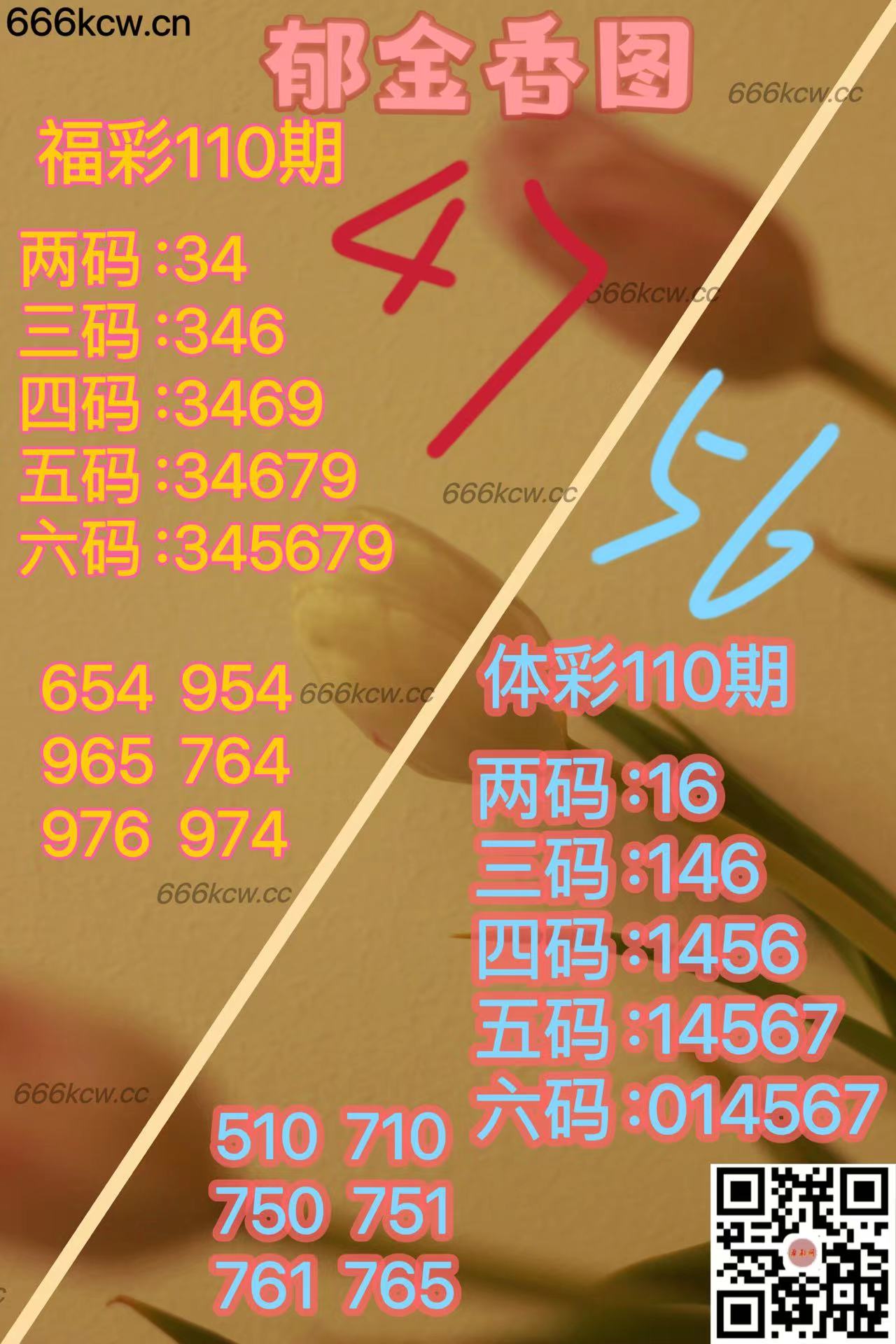 20250430 (27)
