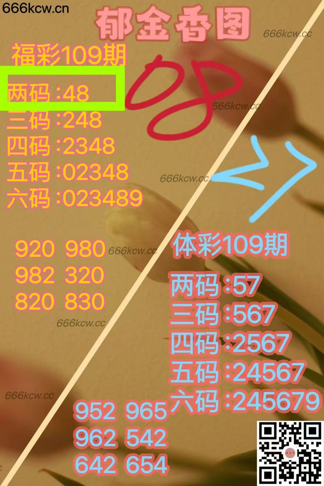 微信图片_20250429235107