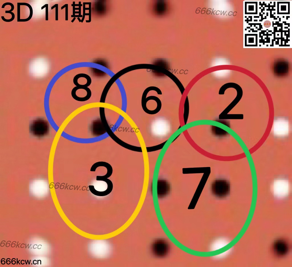 20250501 (26)