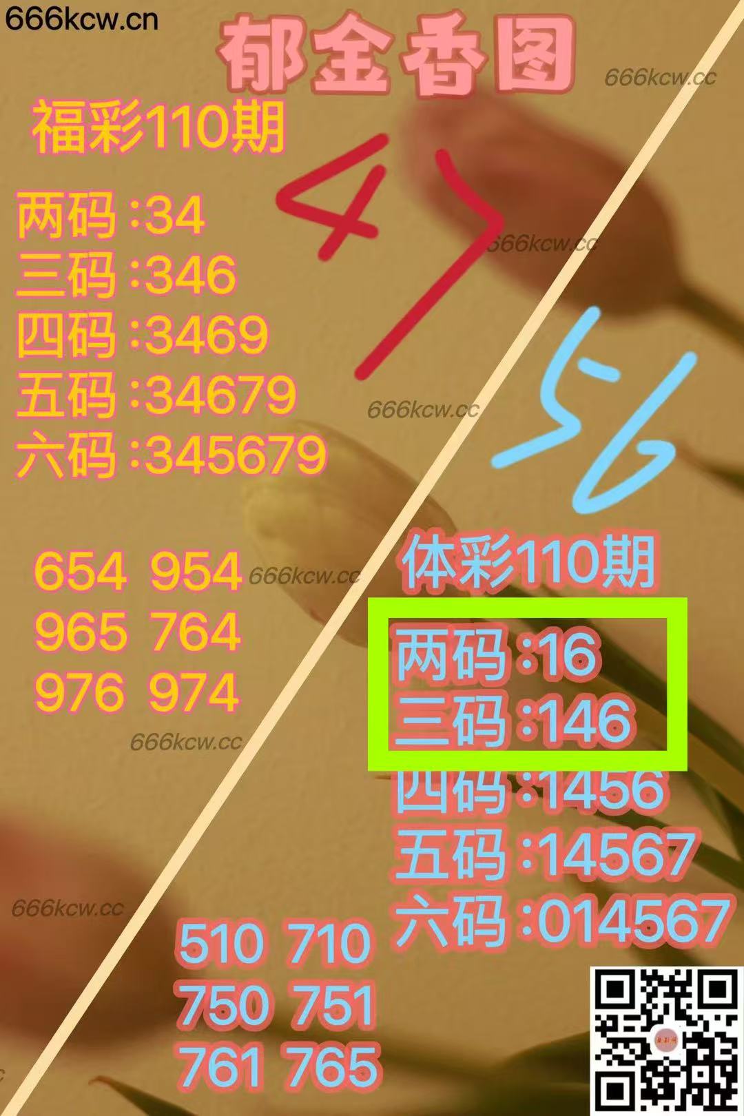 微信图片_202505010446291