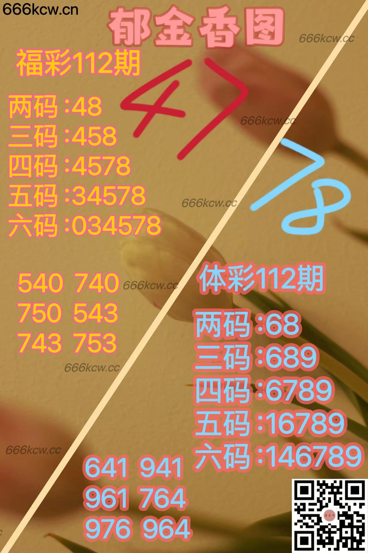20250502 (28)