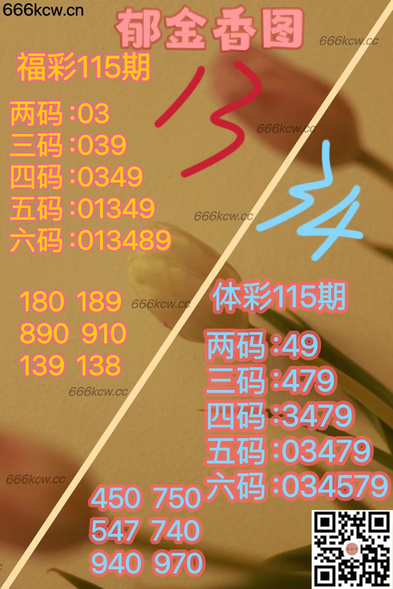 20250505 (27)