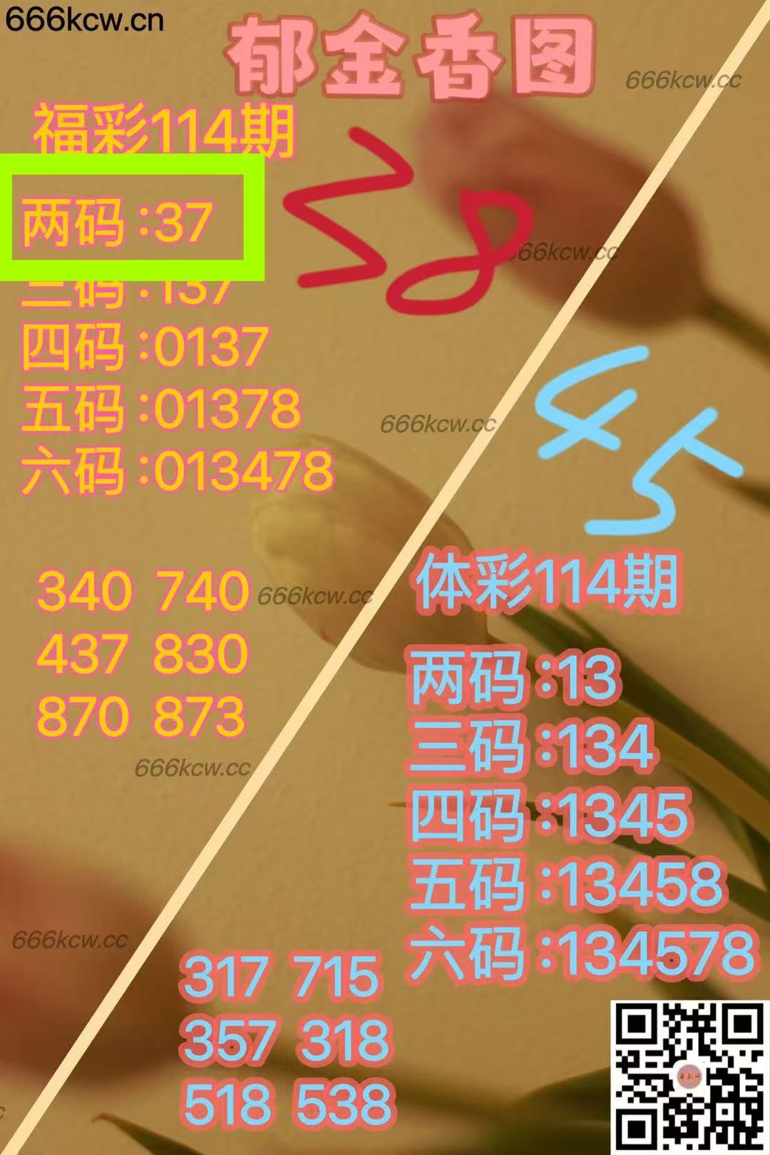 微信图片_202505050258597
