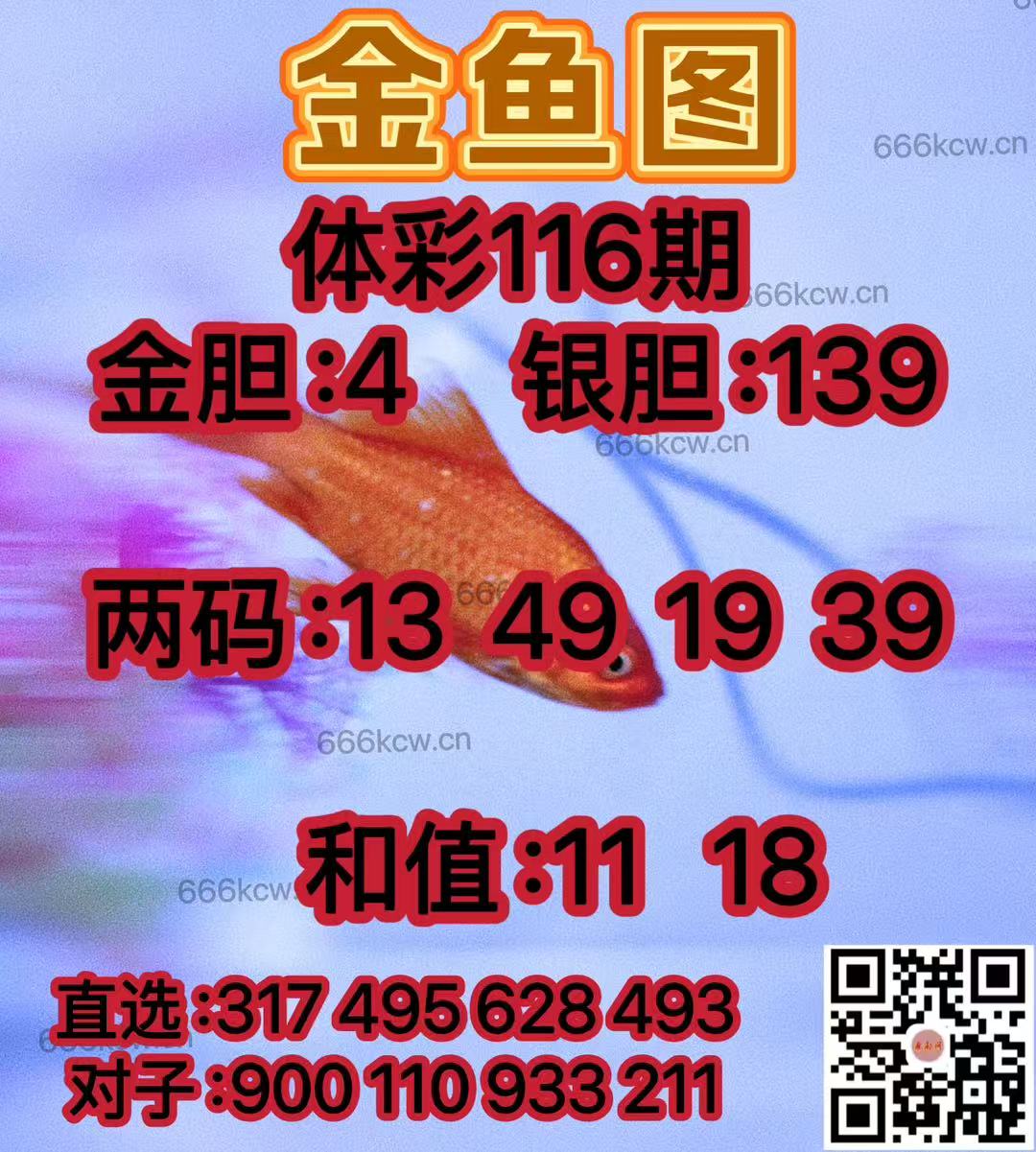 20250506 (22)