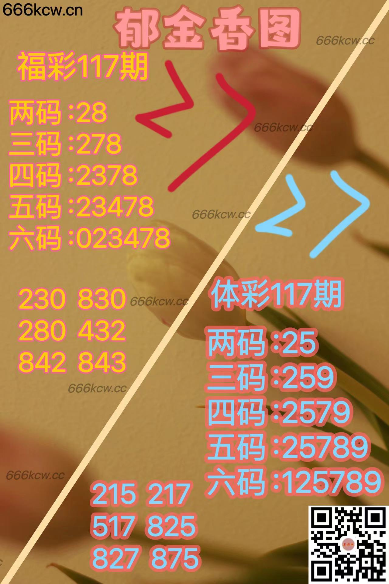 20250507 (26)
