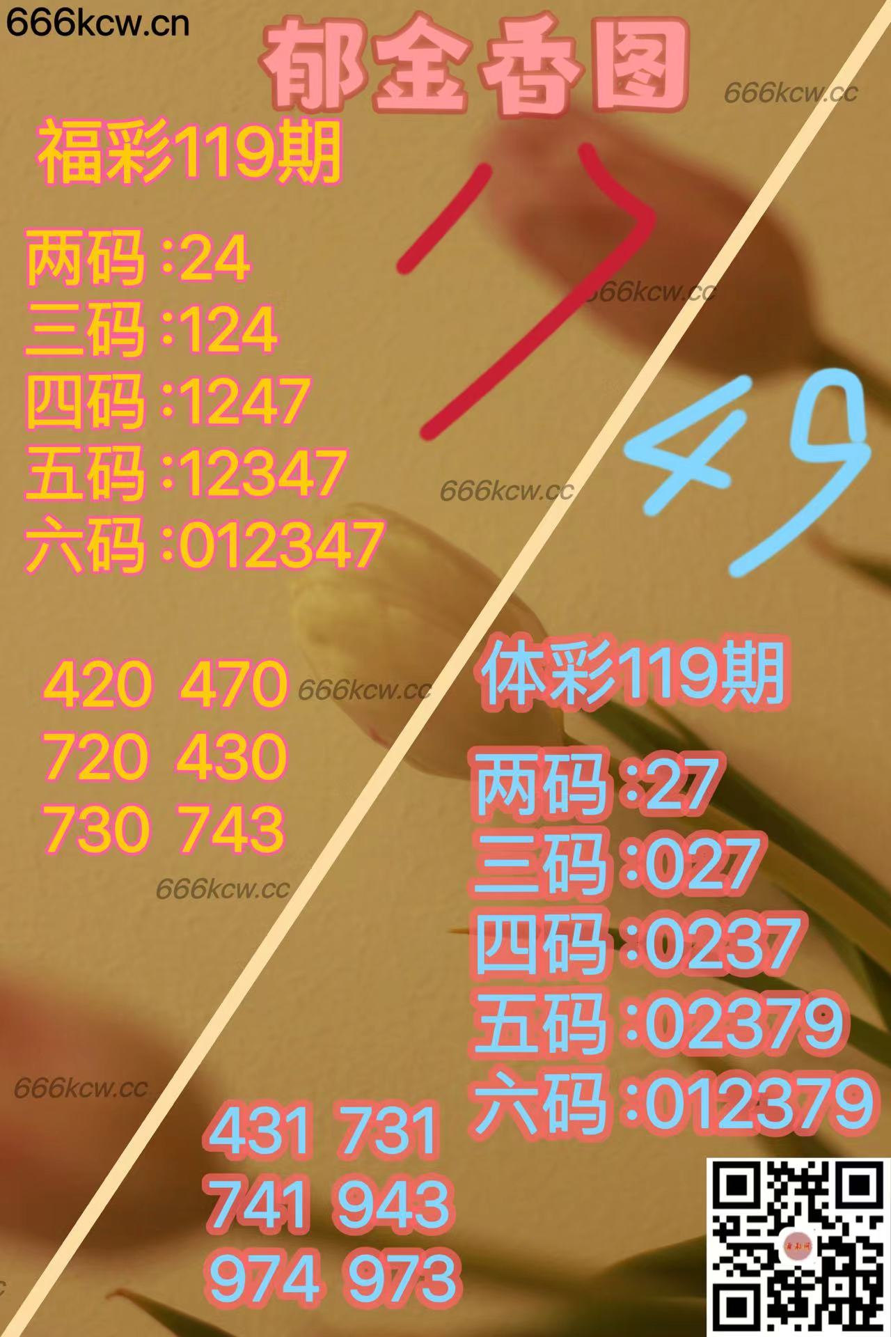 20250509 (28)