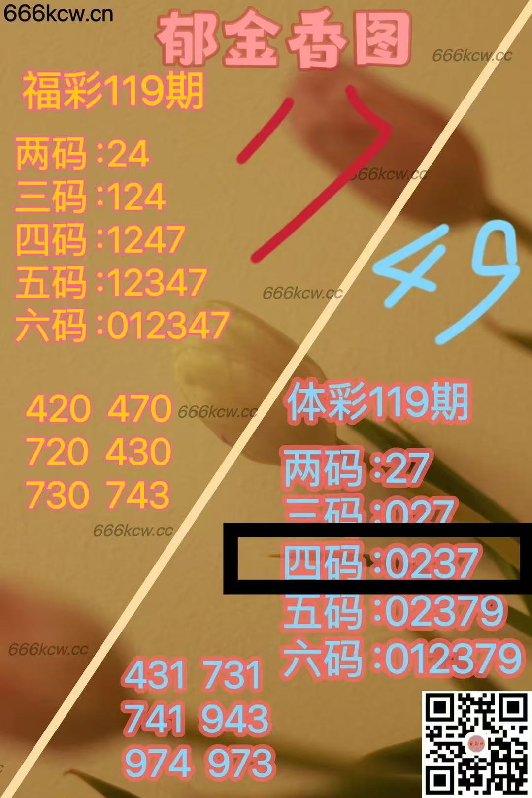 微信图片_202505100019323