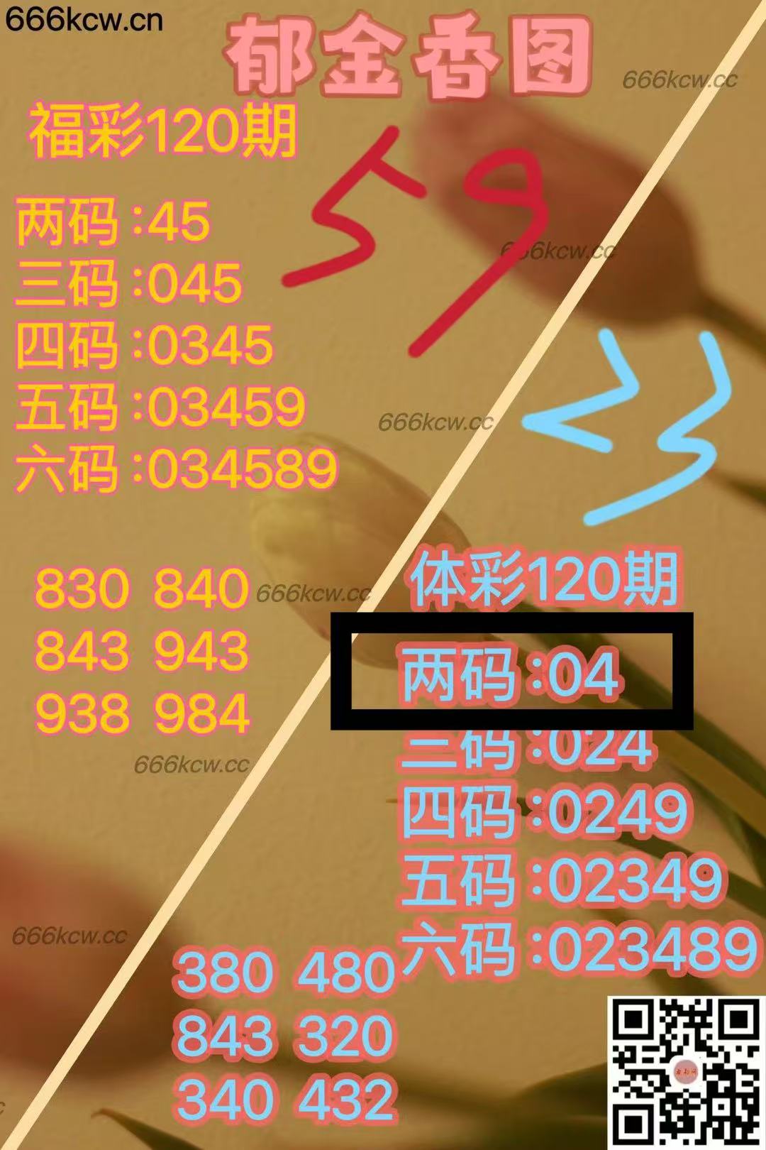 微信图片_202505110219112