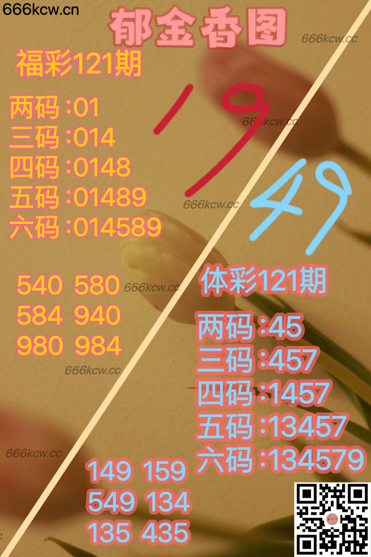 20250511 (3)