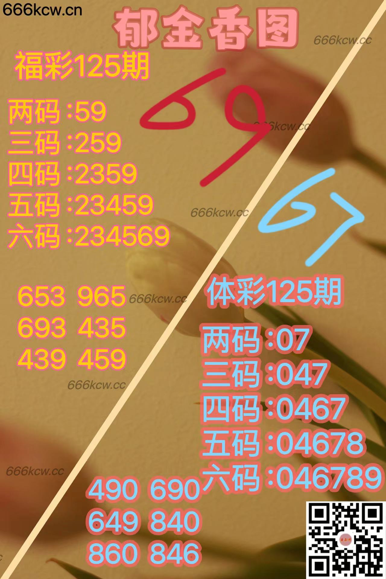 20250515 (42)