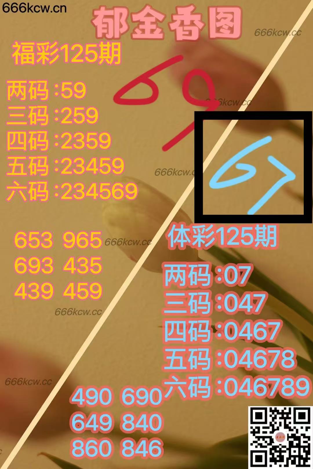 微信图片_202505152352595