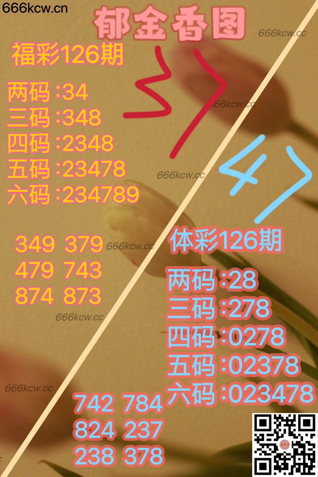 20250516 (2)