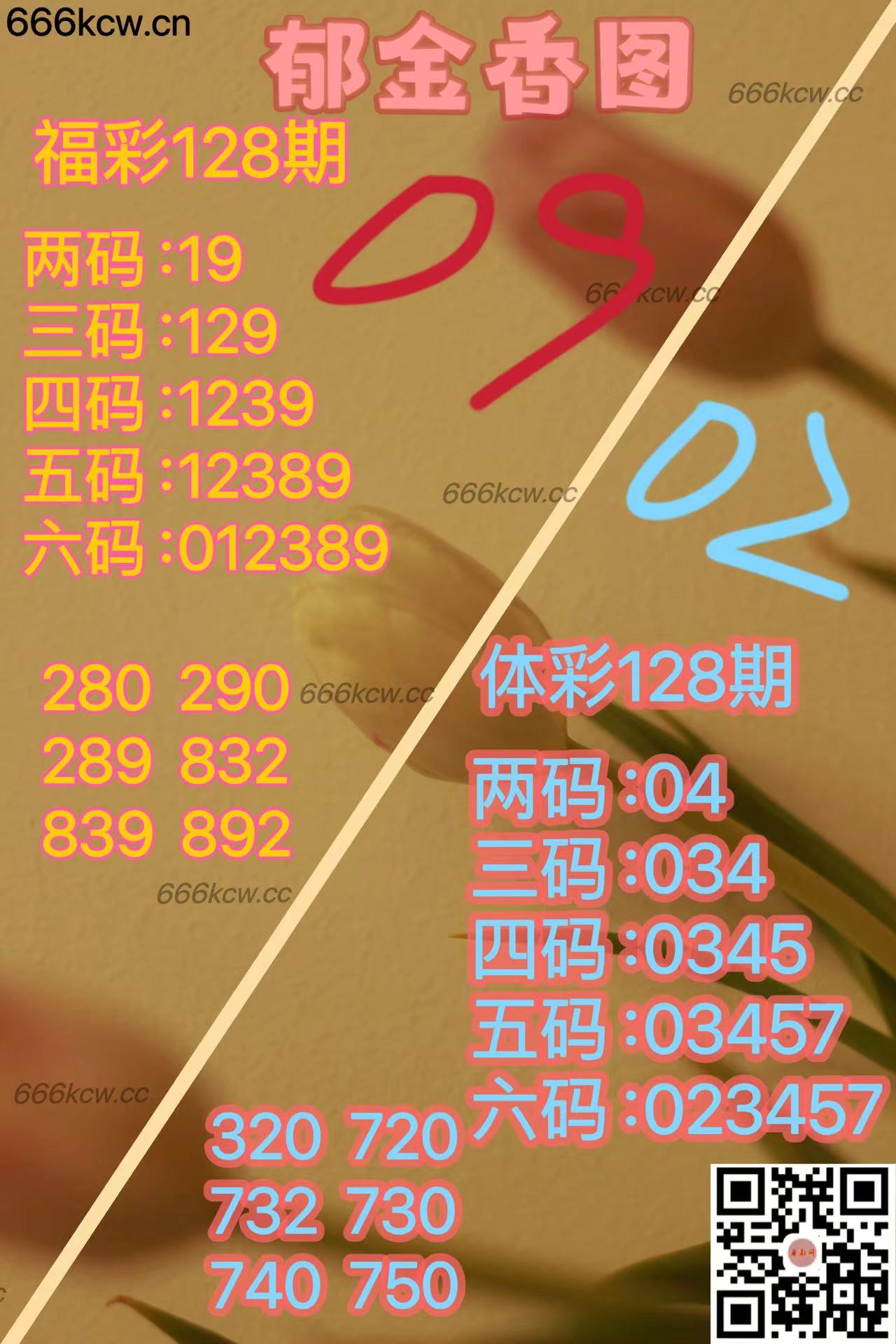 20250518 (24)