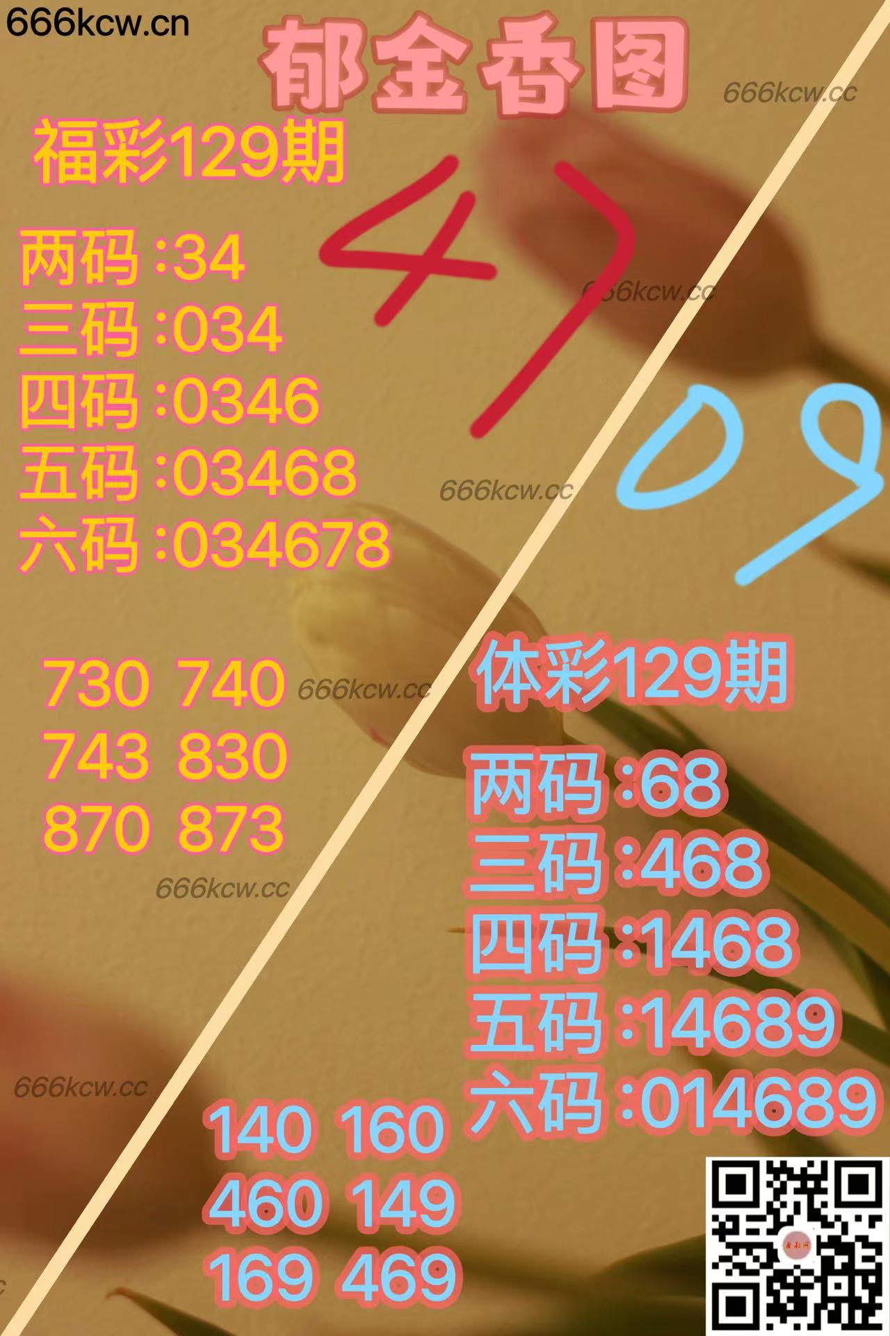 20250519 (26)