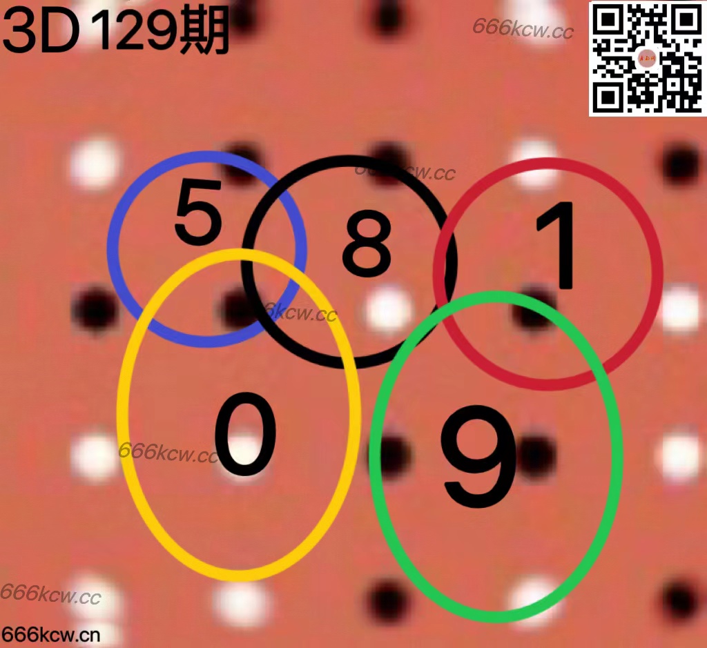 20250519 (40)