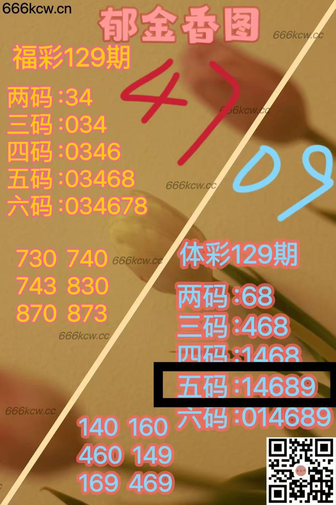 微信图片_202505192333194
