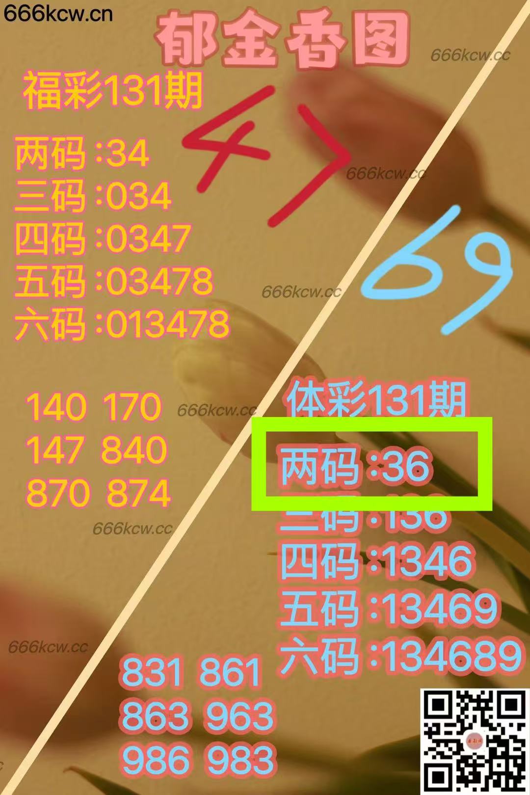 微信图片_202505220137174