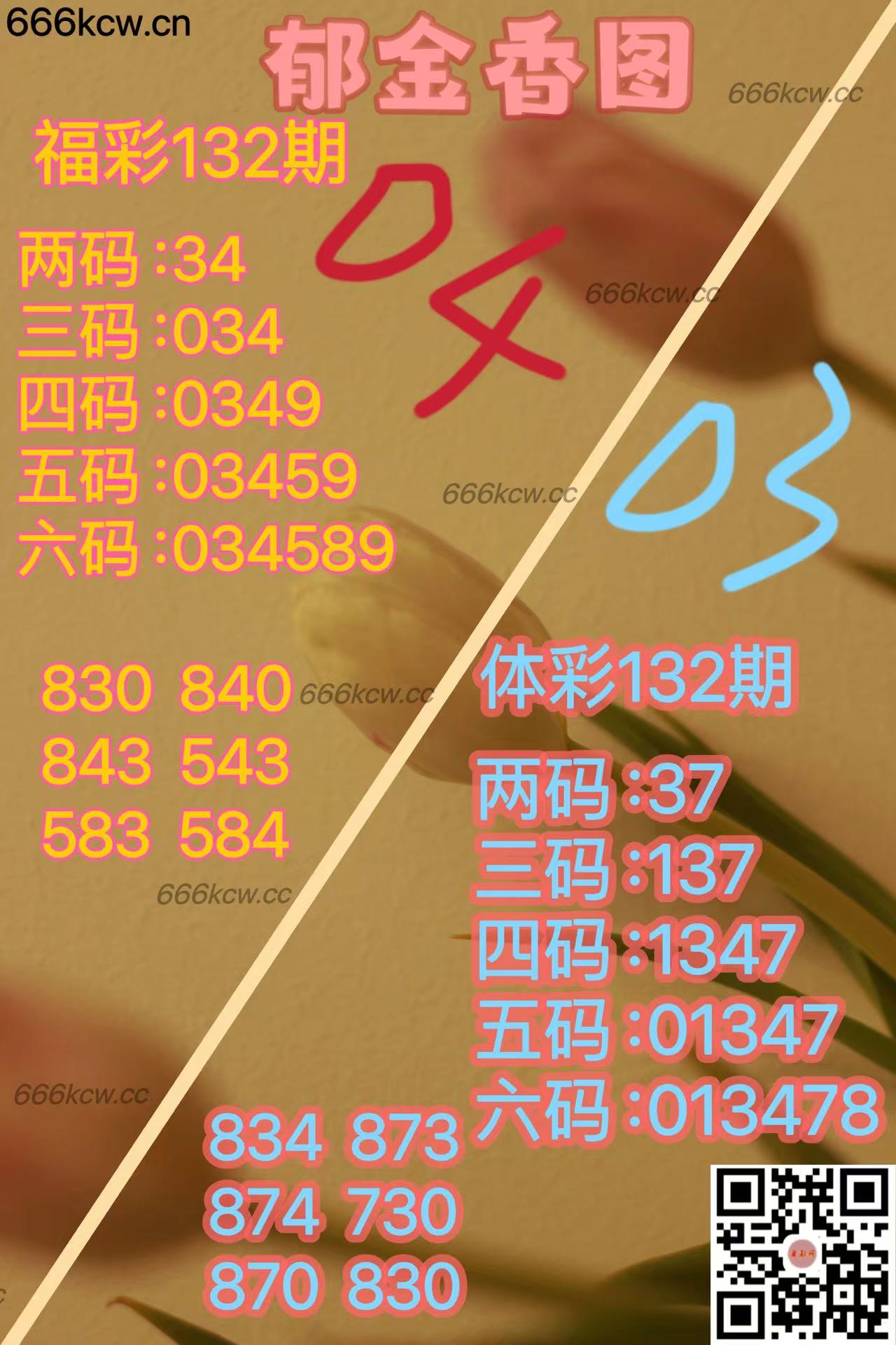 20250522 (29)