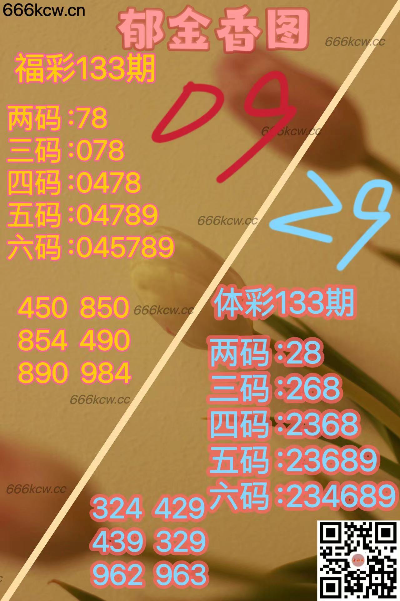 20250523 (13)