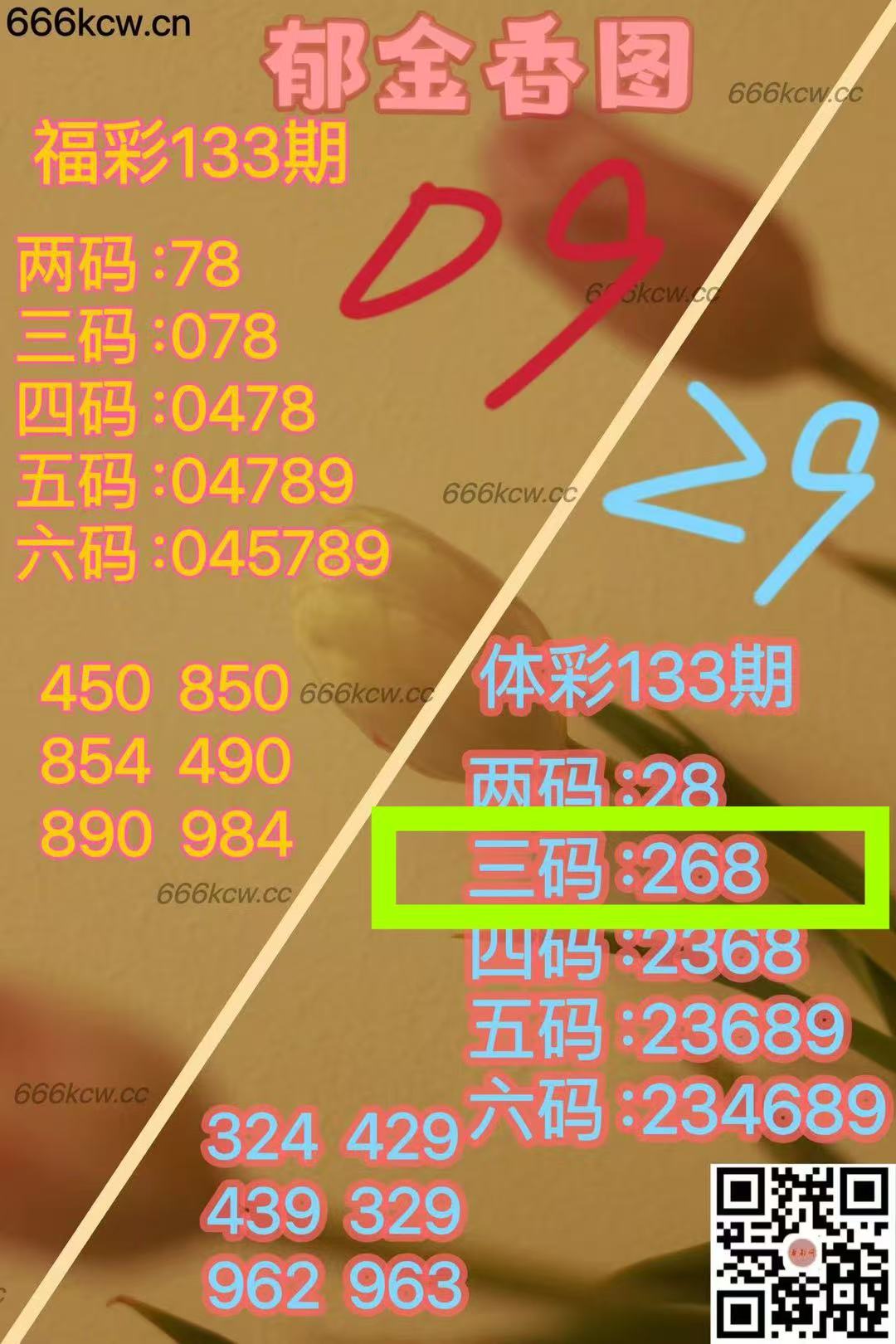 微信图片_20250524015906