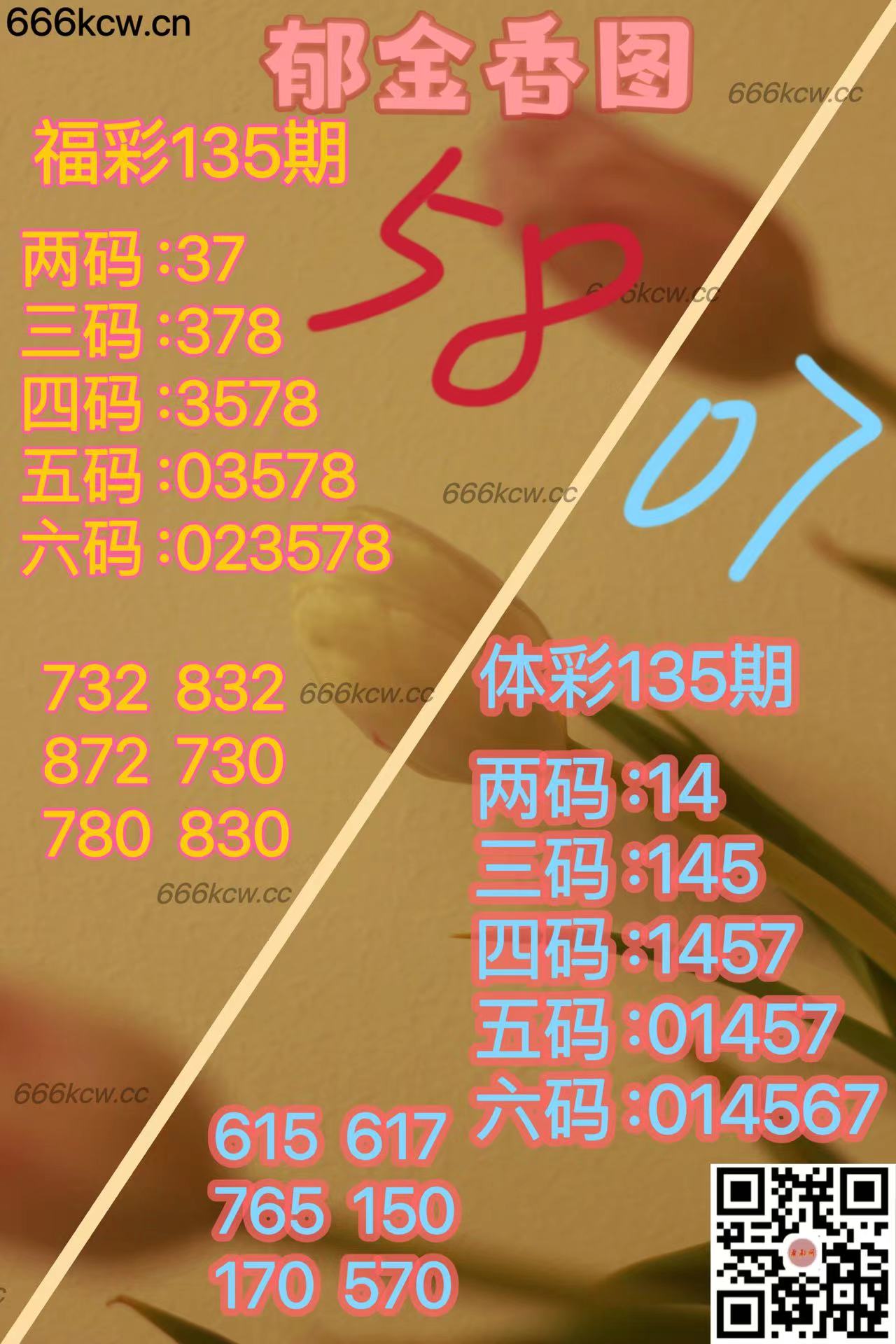 20250525 (2)