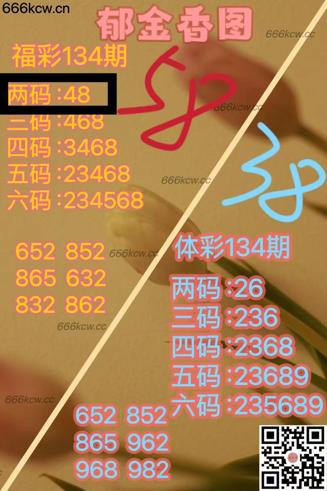 微信图片_20250525040346