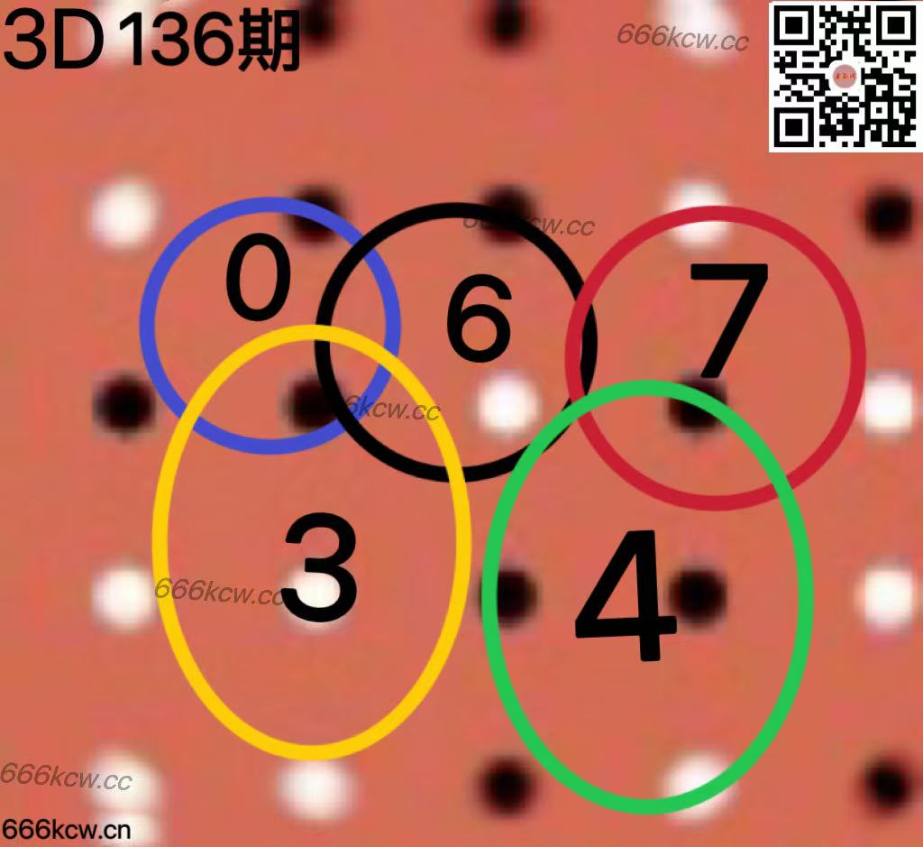 20250526 (6)