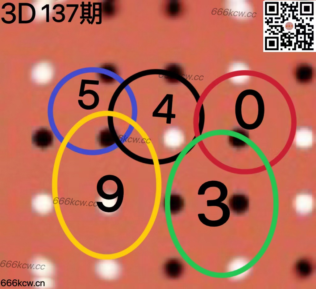 20250527 (37)