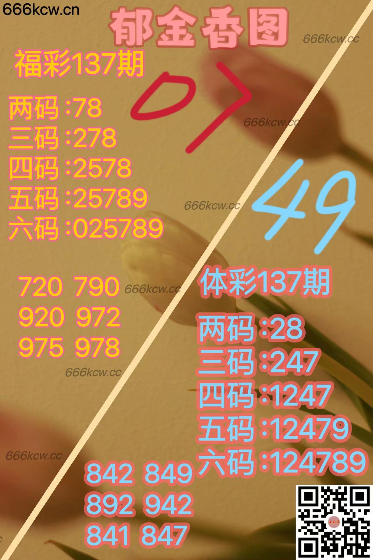 20250527 (40)