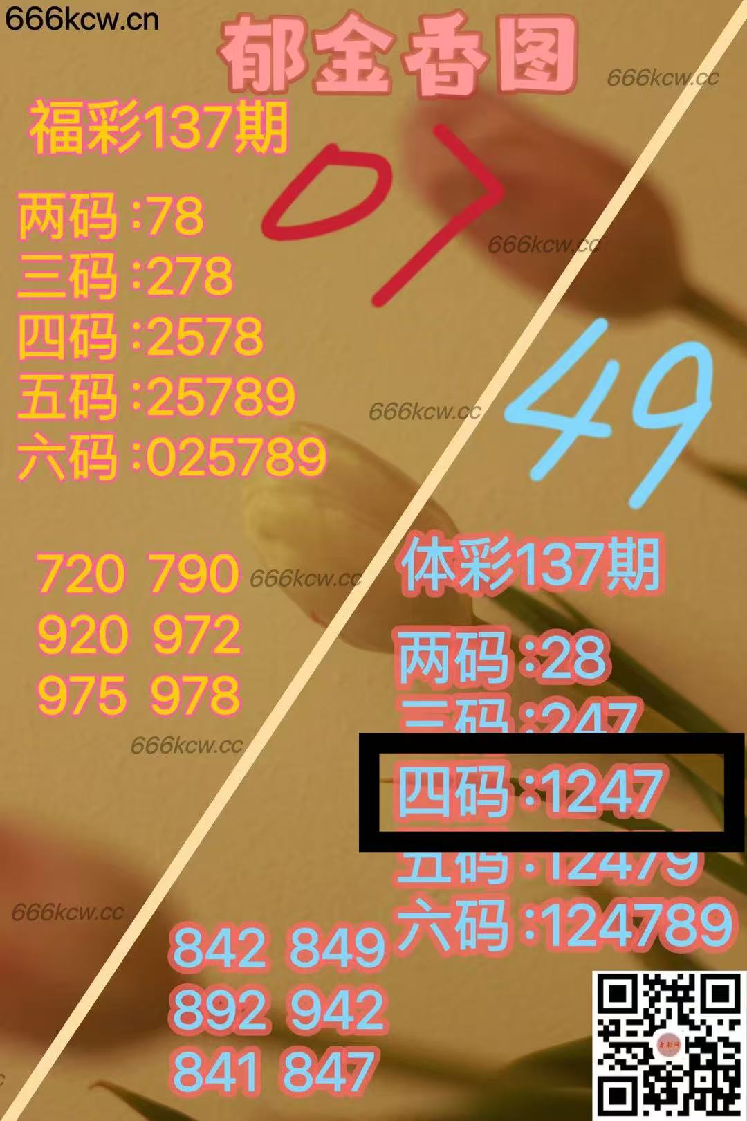 微信图片_202505280113212