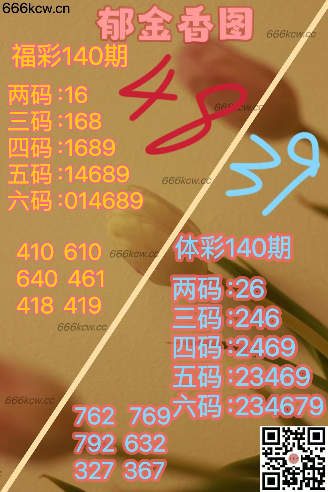20250530 (27)