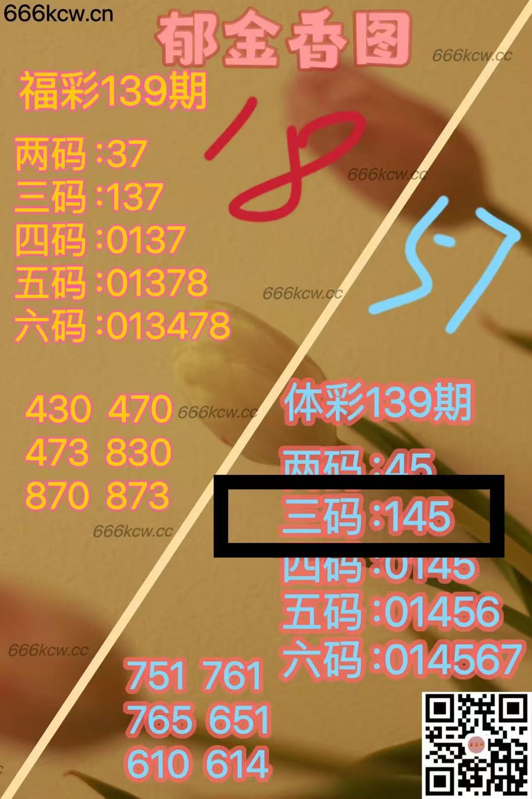 微信图片_20250530023209