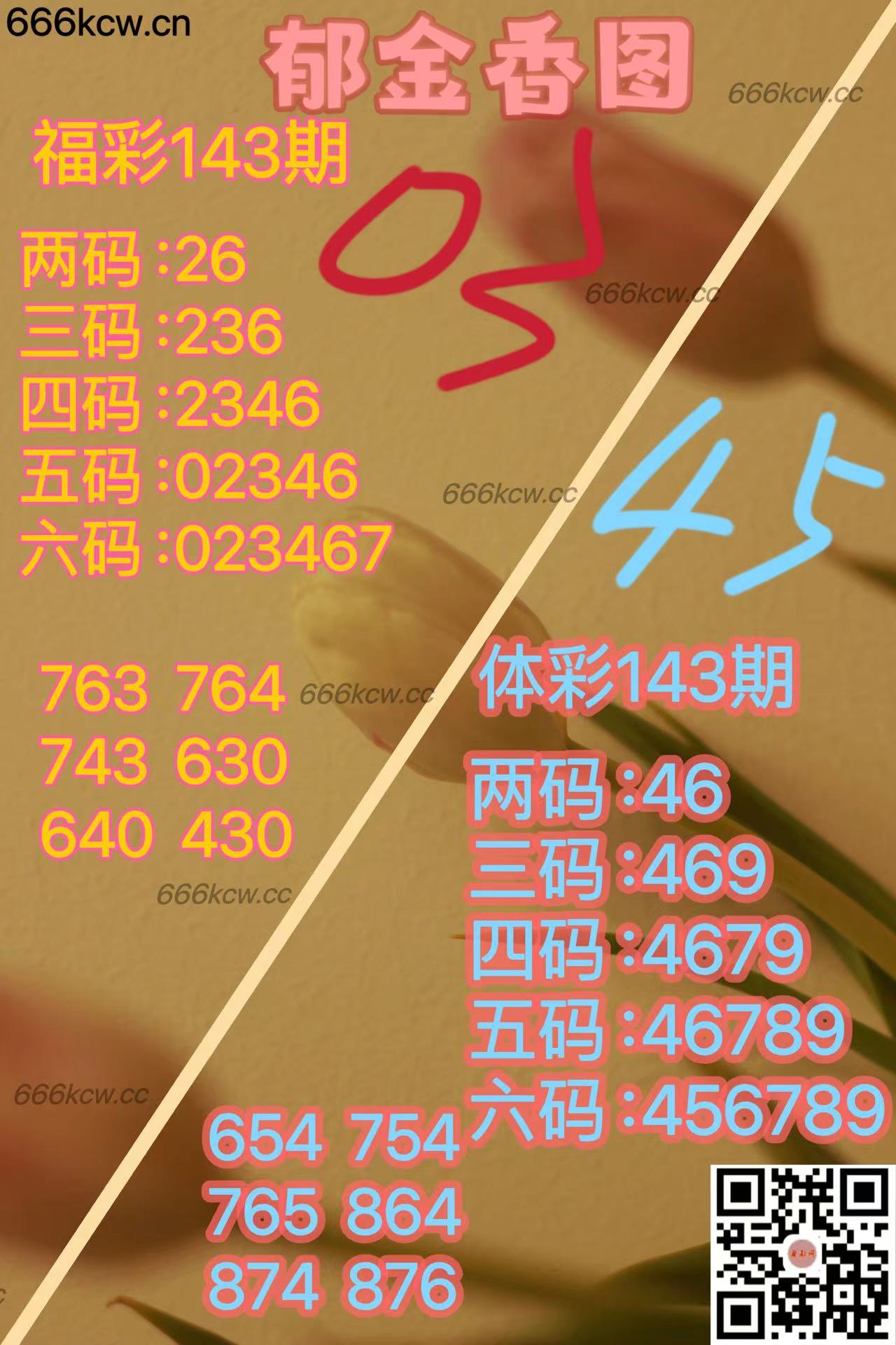 20250602 (5)
