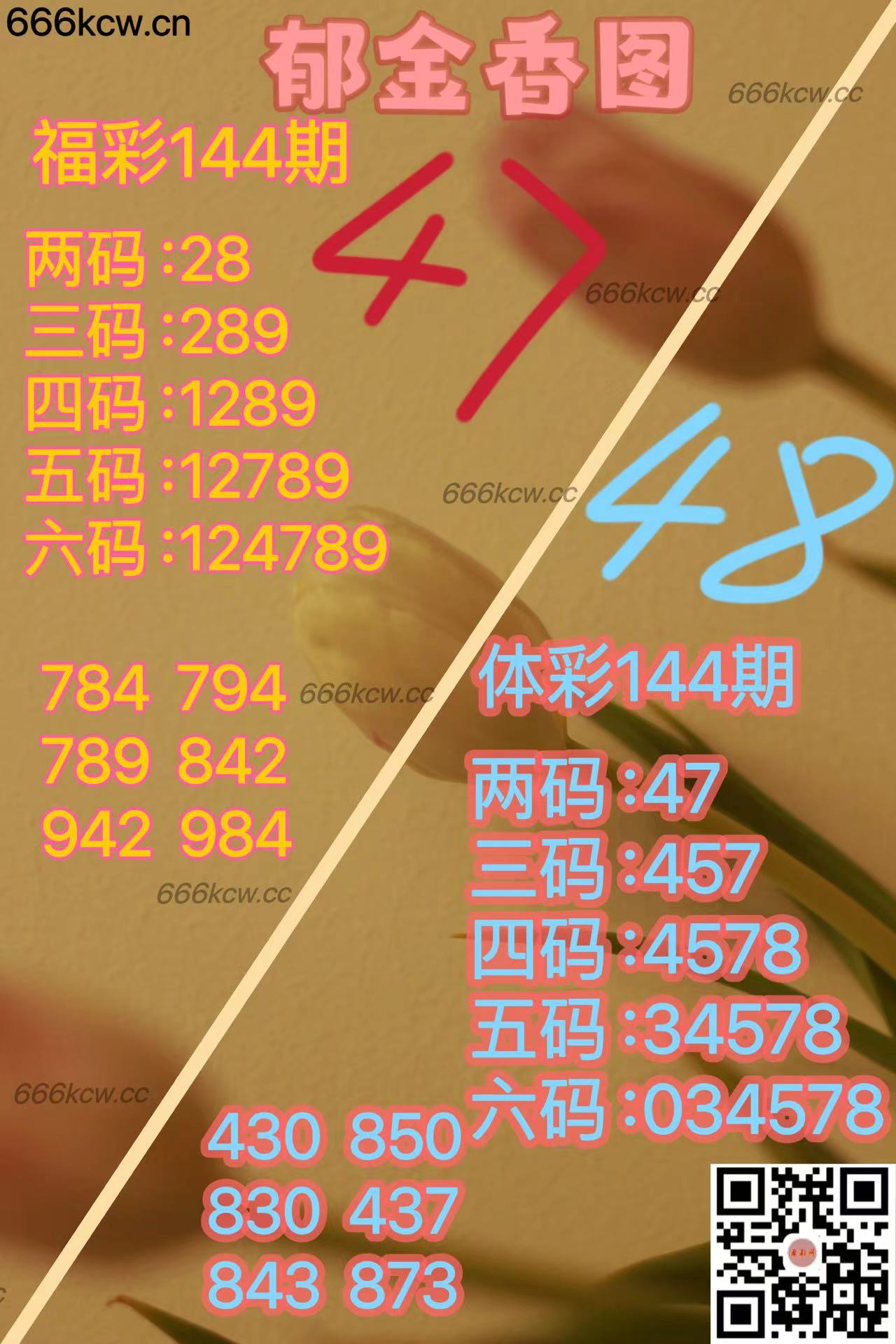 20250603 (25)