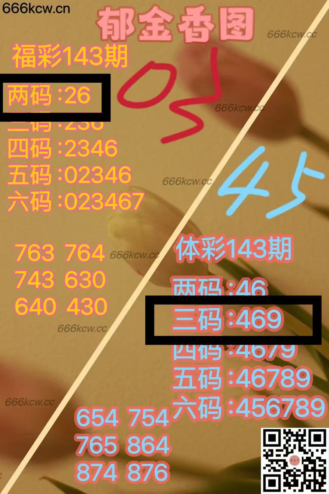 微信图片_202506030214353