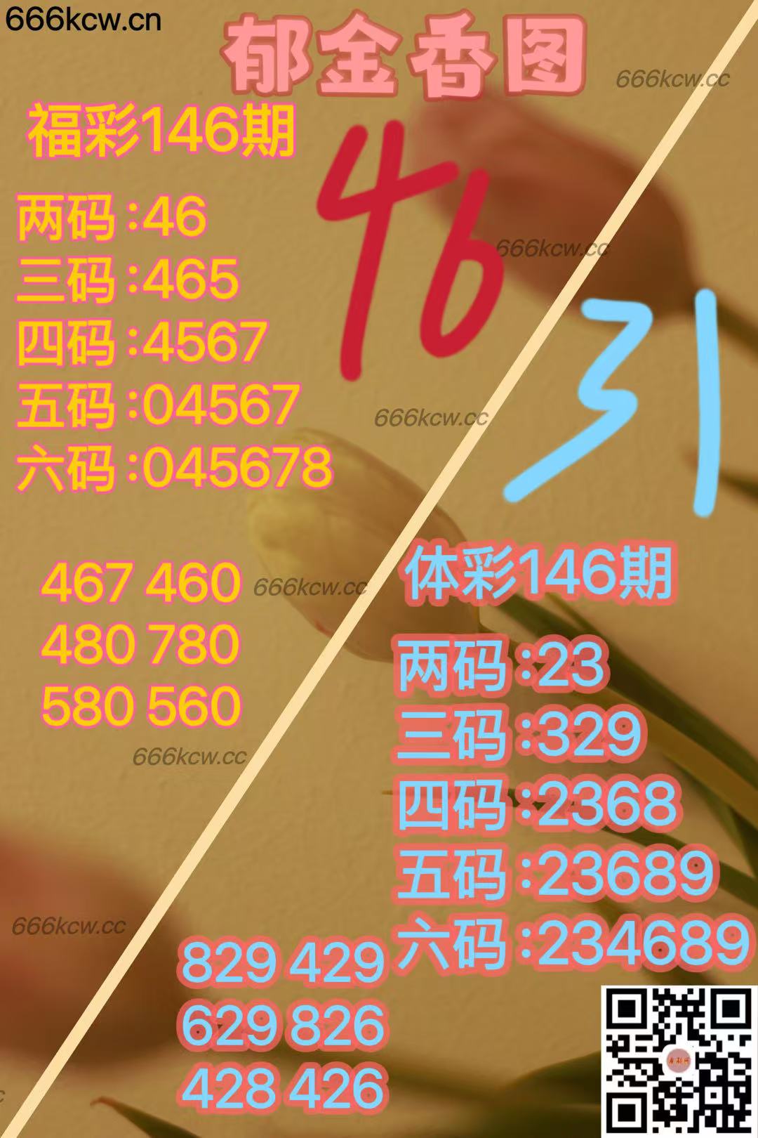 微信图片_20250605171752