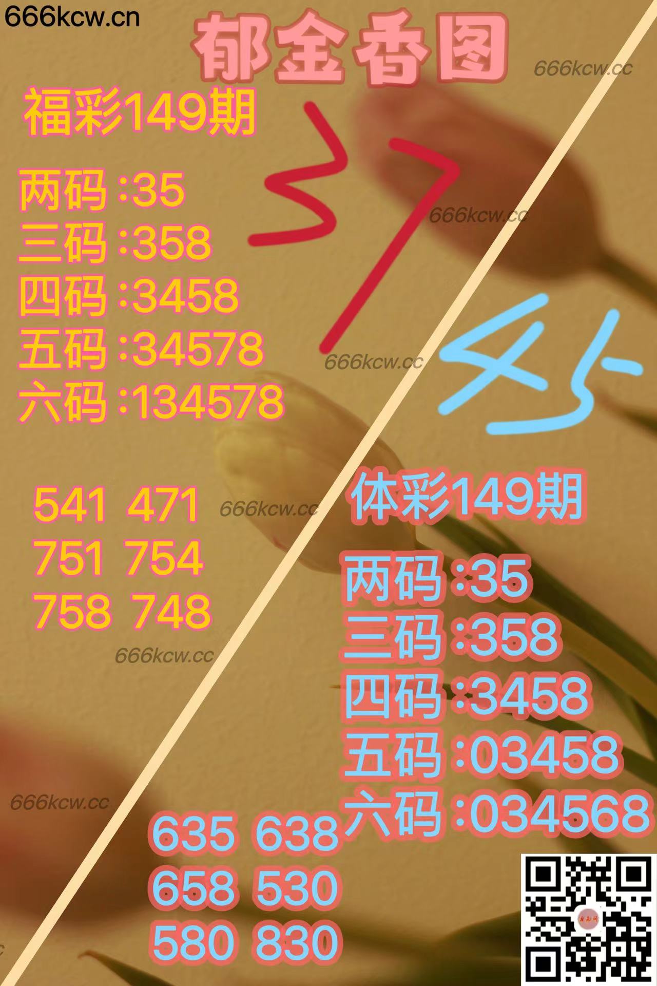 20250608 (25)