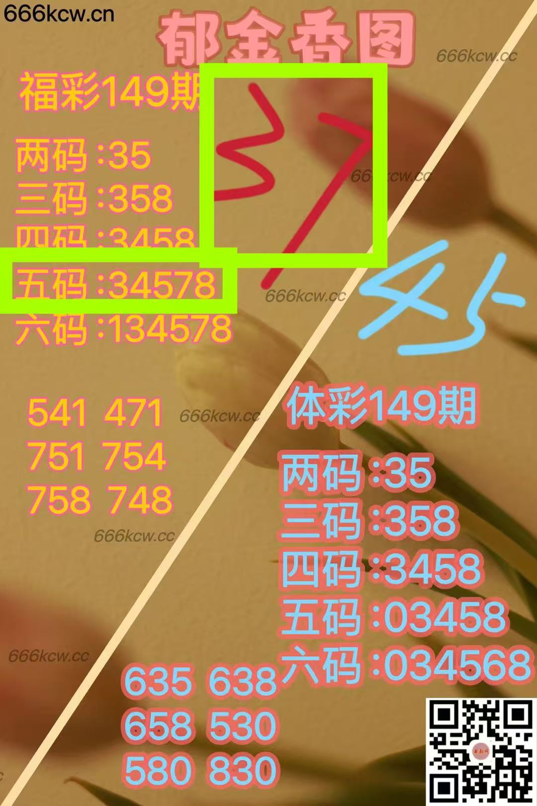 微信图片_20250609041129