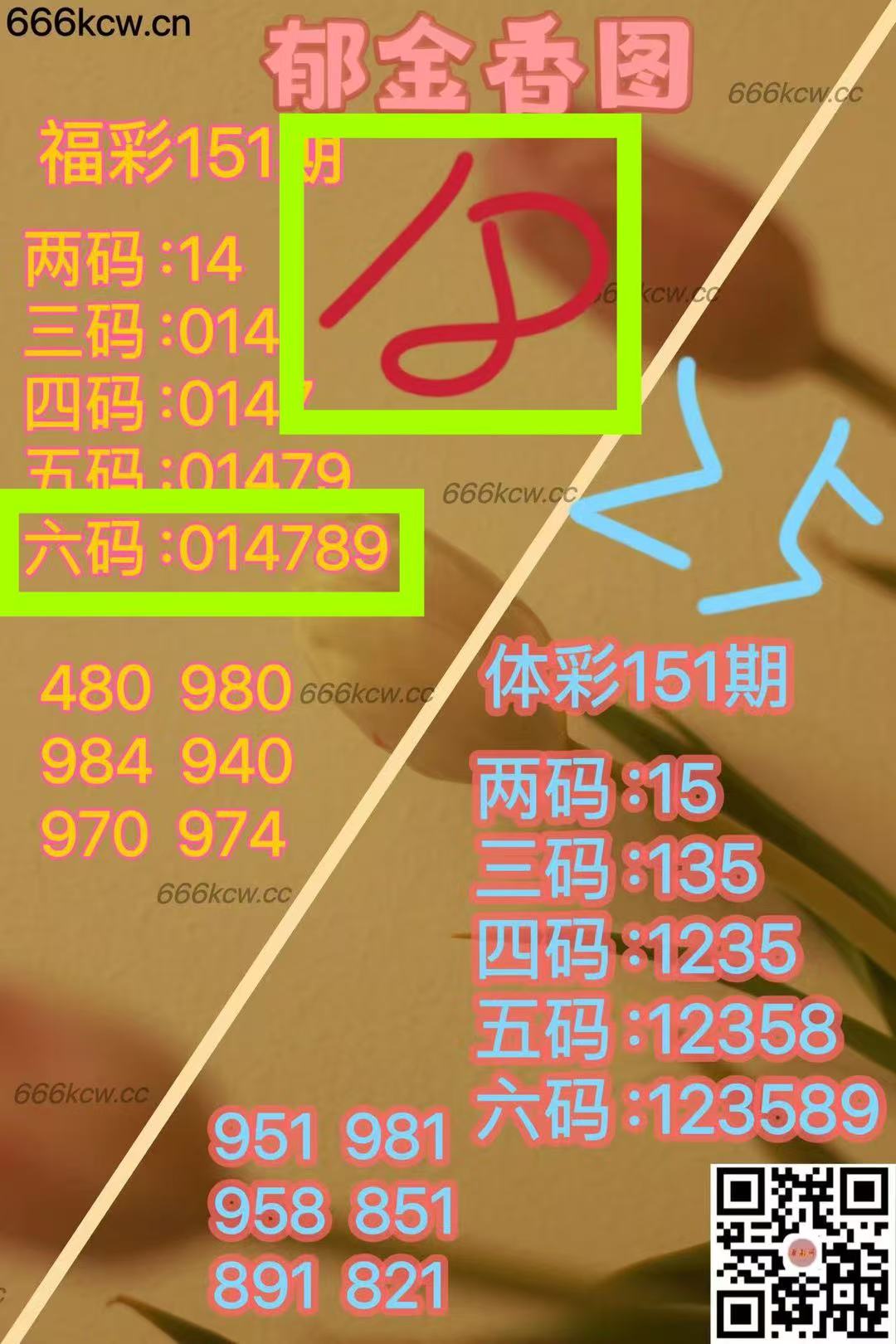 微信图片_202506110408571